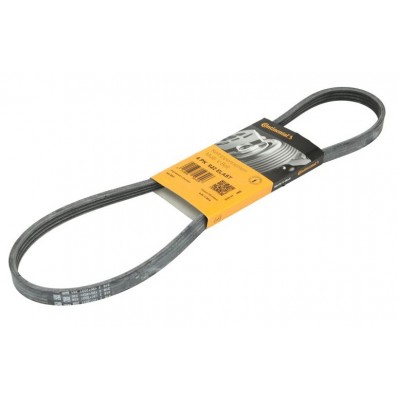 Пистов ремък 4PK922 ELAST CONTITECH
