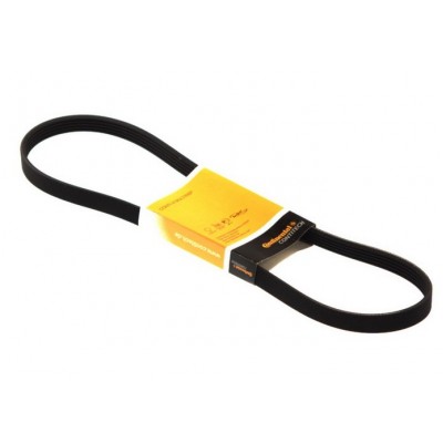 Пистов ремък 5PK1295 CONTITECH