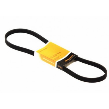 Пистов ремък 5PK655 CONTITECH