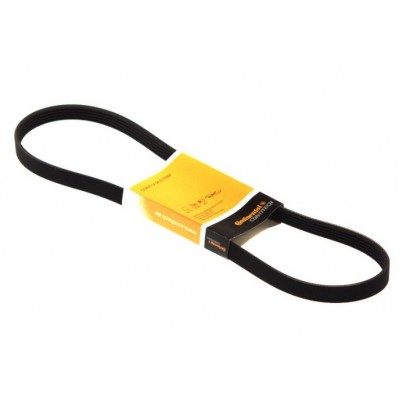Пистов ремък 5PK813 CONTITECH