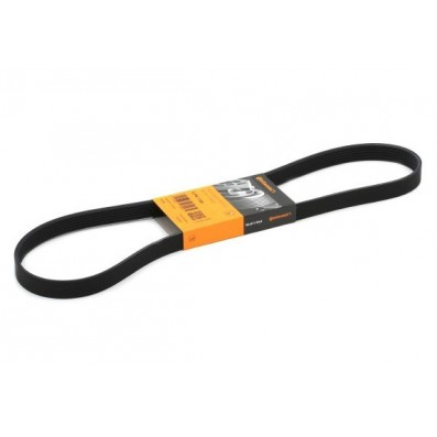 Пистов ремък 6PK1145 CONTITECH