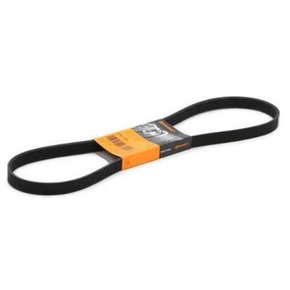 Пистов ремък 6PK1153 CONTITECH
