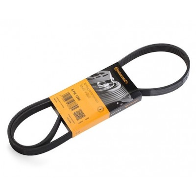Пистов ремък 6PK1256 CONTITECH