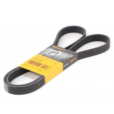 Пистов ремък 6PK1560 CONTITECH