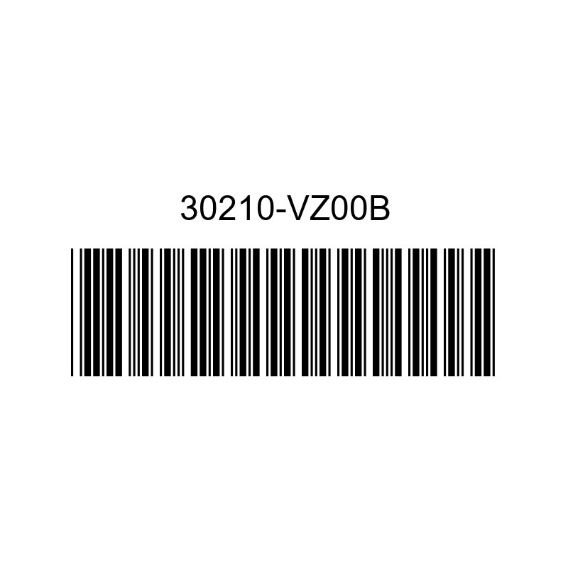 Притискателен диск 30210-VZ00B NISSAN OEM PARTS
